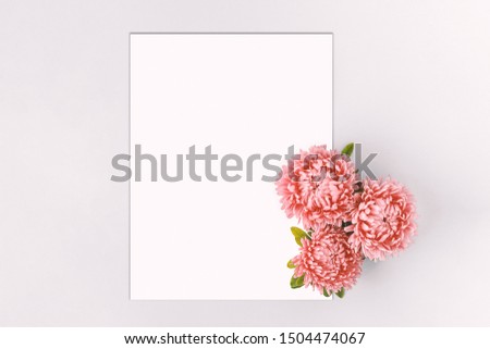 Creative layout with soft pink aster flowers. Copy space on white paper card. Flat lay.