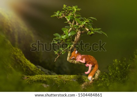 Baby in cute fox outfit sleeping in a bonsai tree