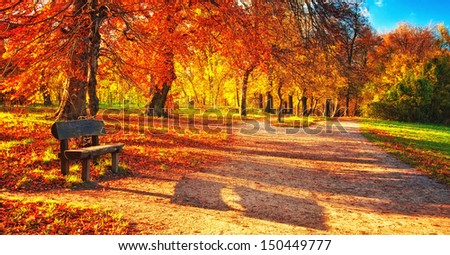 Nice autumnal scene 