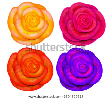 Drawn roses of different colors isolated on white background.