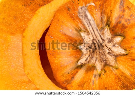 Macro of a ripe orange pumpkin stem. Close up of an orange ripe pumpkin. Autumn harvest concept.