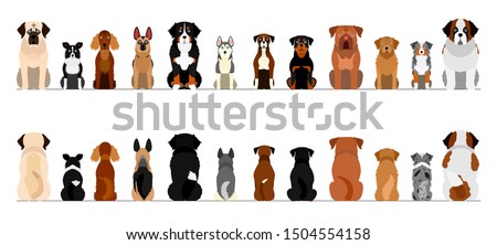 large dogs border border set, full length, front and back
