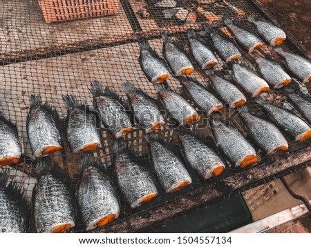 Dried Plasalid fish in Thailand