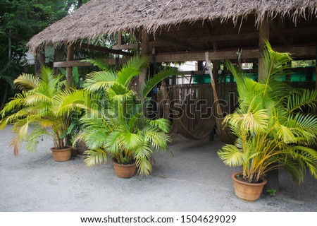 Wooden hut with hammocks for refreshing during the day.