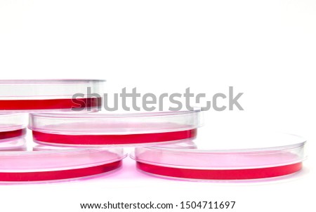 Stack of petri dishes containing eukaryotic cells with growth culture medium