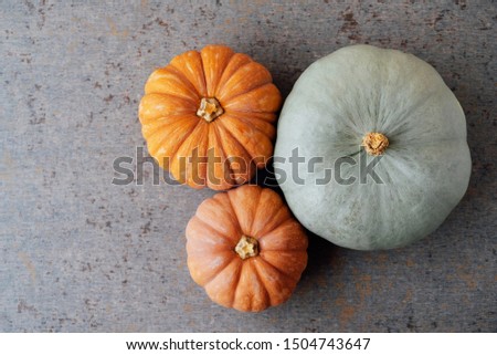 Colorful orange and mint green pumpkins on gray background, top view. Copy space for text. Thanksgiving food preparations. Autumn harvest