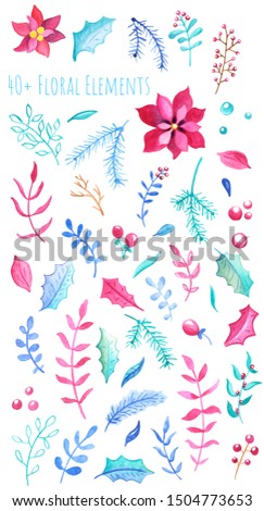 Red and blue floral elements on white background. Poinsettia flower and holly leaf watercolor illustration. Christmas or New Year greeting card decor. Fir tree branch handdrawn. Holly Jolly clipart