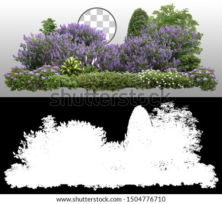 
Flower Hedge isolated on transparent background via an alpha channel of great precision. Garden design. Lilacs flowers and green plants for landscaping. High quality cutout.