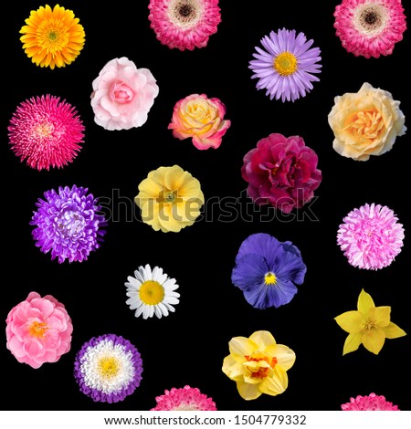 seamless pattern  of different and multicolored colors on black background