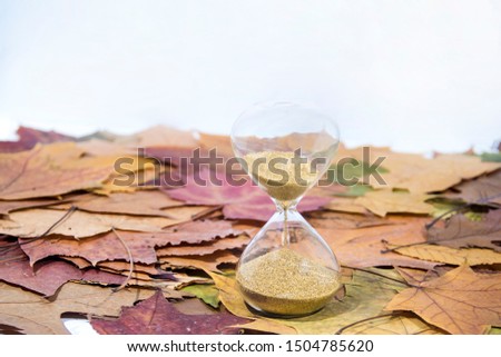 Vintage black alarm clock on autumn leaves. Time change abstract photo. Daylight saving time.