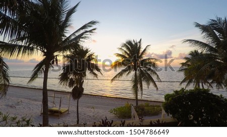 Palm trees at the beach at dawn Royalty-Free Stock Photo #1504786649