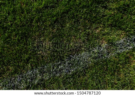 The picture shows a white line on the grass of a football field.