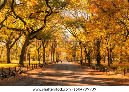 Beautiful autumn colors in Central Park, New York City, USA Royalty-Free Stock Photo #1504799909