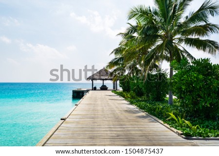 Wooden bridge with bungalow and palm trees in Maldives luxury resort. Paradise holidays concept, copy space.