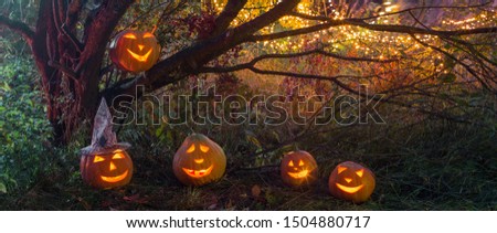 Halloween pumpkins in night mystery forest