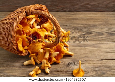 Wicker basket with chanterelles over an old wooden table