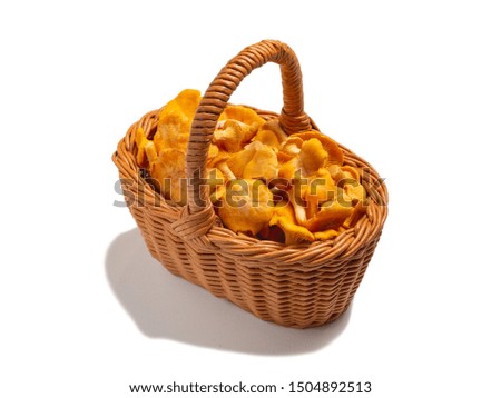 Group of edible forest chanterelle mushrooms in wicker basket isolated on white background