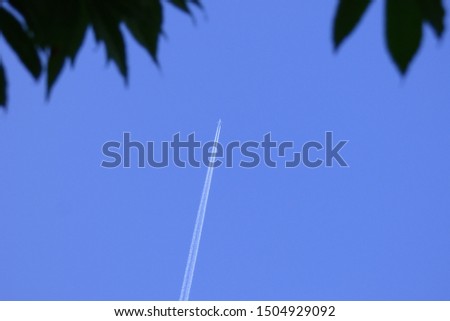 the plane is high in the sky and its trail in the blue sky and the contours of tree leaves from above