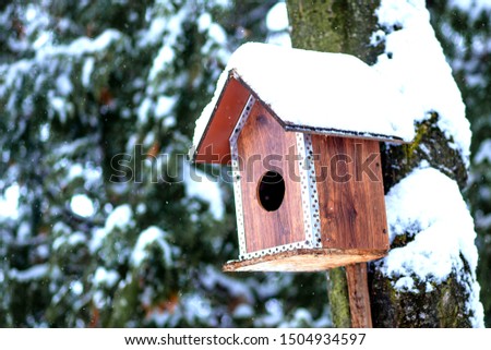 Bird feeder in winter park. Bird house hanging outdoors in winter on tree covered with snow.