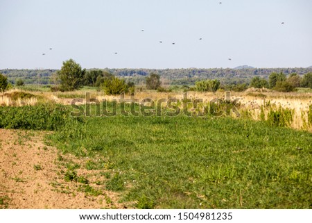 View of agricultural land.Photo of nature and environment