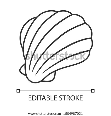 Sea shell linear icon. Mollusk shell. Protective layer for animal living. Tropical souvenir. Aquarium creature. Thin line illustration. Contour symbol. Vector isolated outline drawing. Editable stroke