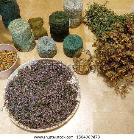 Natural dyes (paint) for yarn (thread). Plants: Hypericum ( St. John's wort), Calendula, Calluna (ling).
