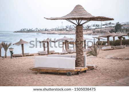 Empty beautiful beach with umbrellas and sunbeds in Egypt . the concept of travel and recreation .