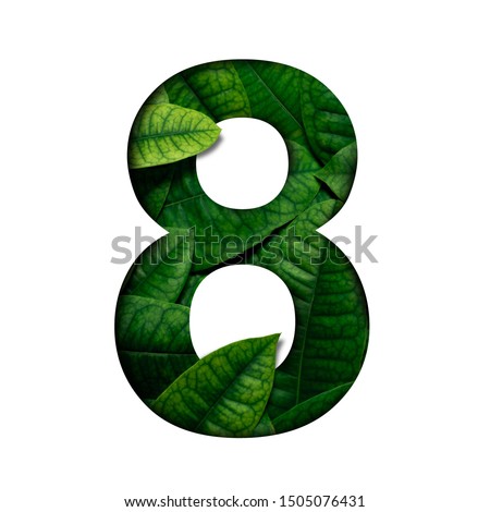 Leafs number 8 made of Real alive leafs with Precious paper cut shape of number. Leafs font.