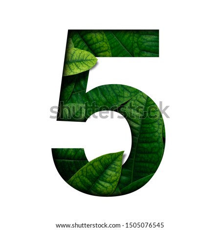 Leafs number 5 made of Real alive leafs with Precious paper cut shape of number. Leafs font. Royalty-Free Stock Photo #1505076545