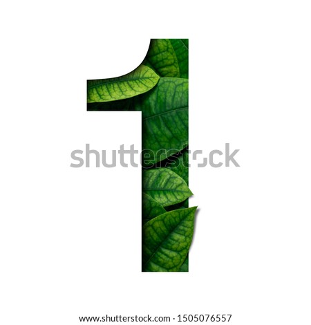 Leafs number 1 made of Real alive leafs with Precious paper cut shape of number. Leafs font. Royalty-Free Stock Photo #1505076557