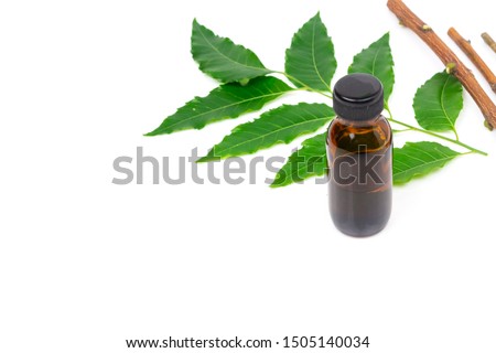 Medicinal neem leaves with essential oil and tree branch isolated on white background. Green leaf in South East Asia. Azadirachta indica var. siamensis valeton. 