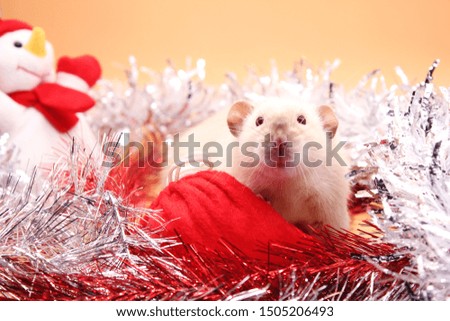 The rat sits among tinsel near a red toy Christmas bag with gifts and a toy snowman. Happy New year. year of rat 2020