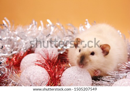 Rat among Christmas toys . Happy New year 2020. Chinese horoscope. year of rat.