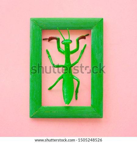 Silicone toy grasshopper in green frame on pink background