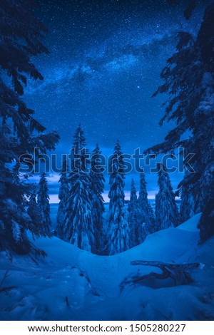 Fairytale carpathian forest covered with snow. Night starry sky with milky way. Winter time. Ukraine, Europe.