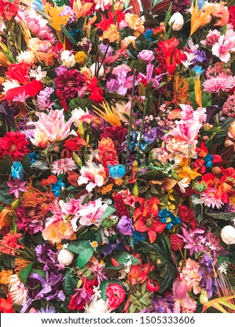 Lots of colorful flower background, full frame cover photo