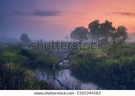 Autumn sunrise with fog, river and beautiful herbs.