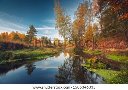 Forest river in autumn with beautiful trees along the banks