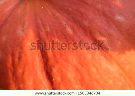 Pumpkin texture closeup macro.Halloween background