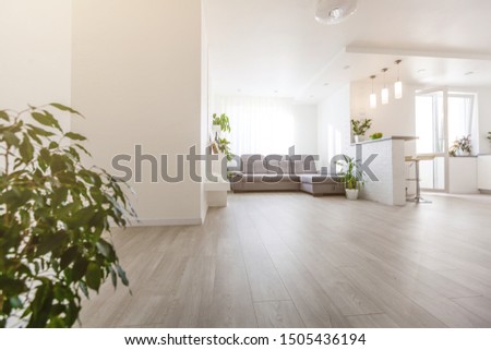 white apartment, sofa gray sun Royalty-Free Stock Photo #1505436194