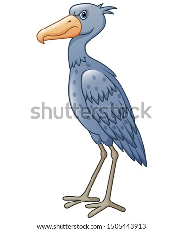 Cartoon shoebill isolated on white background