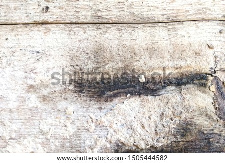 Old wooden background. Nice texture of wood in the beige brown colours. Trend photo. Wallpaper for desktop or smartphone.