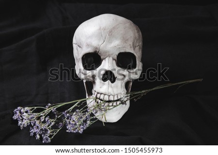 Skull with flowers in mouth