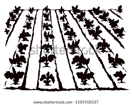 Eco early lush ripe soy bush flora culture sow on tillage furrow mulch patch isolated on white background. Line black ink hand drawn vegan scene sketch in retro doodle cartoon style and space for text Royalty-Free Stock Photo #1505458337