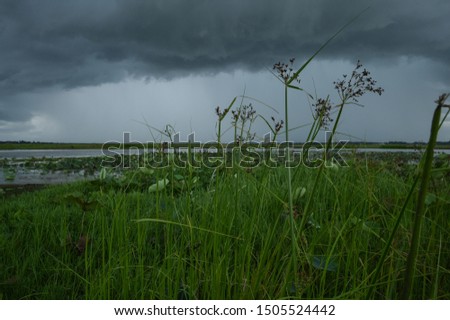The wetland and the Rain Brewing  during the rainy season. 