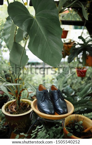 A pair of black shoes for the groom