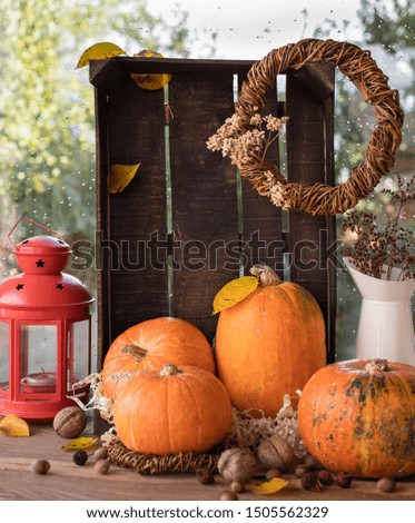 Autumn background with pumpkins, yellow leaves, nuts, dried flowers near the window