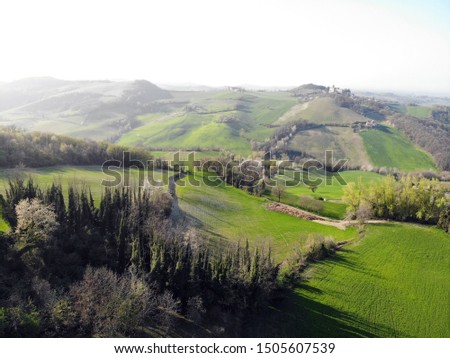 Nature view by drone, wood, hill and grass. Aerial view