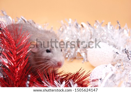 Grey Rat among Christmas toys . Happy New year 2020. Chinese horoscope. year of rat.