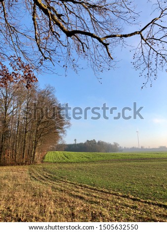 Rural agricultural landscape in winter